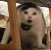 保养粉含有滑石粉会致癌？