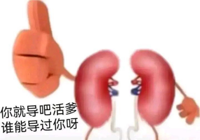 TMT——“芽依子加强版”评测!极限弯道刺激,超强吸力的金刚芭比!