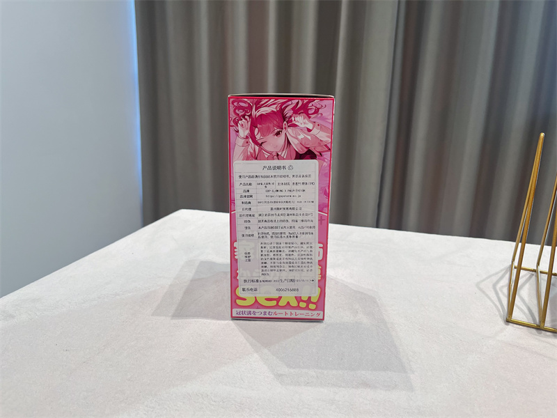 GXP——“家庭教师”评测！无限遐想的人物设计，实际使用却不是那么回事！