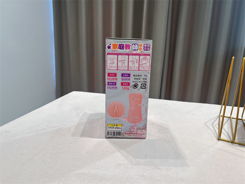 GXP——“家庭教师”评测！无限遐想的人物设计，实际使用却不是那么回事！