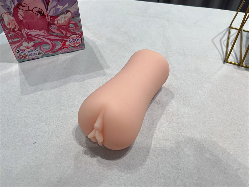 GXP——“家庭教师”评测！无限遐想的人物设计，实际使用却不是那么回事！