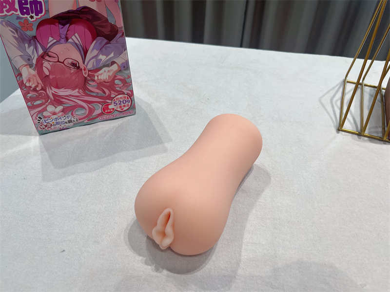 GXP——“家庭教师”评测！无限遐想的人物设计，实际使用却不是那么回事！