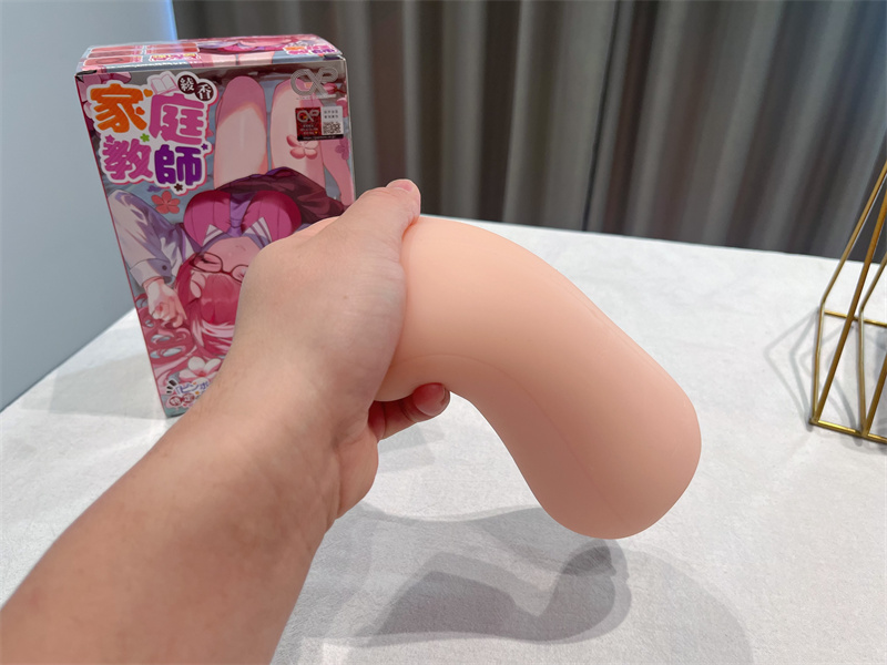 GXP——“家庭教师”评测！无限遐想的人物设计，实际使用却不是那么回事！