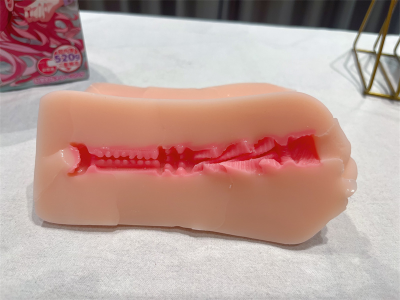 GXP——“家庭教师”评测！无限遐想的人物设计，实际使用却不是那么回事！