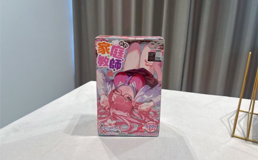 GXP——“家庭教师”评测！无限遐想的人物设计，实际使用却不是那么回事！